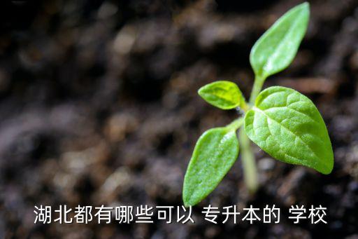 湖北臨床專升本學校排名,湖北yes專升本有35個招生機構(gòu)