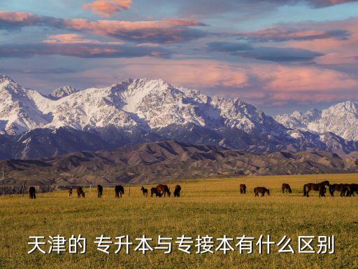  天津的 專(zhuān)升本與專(zhuān)接本有什么區(qū)別
