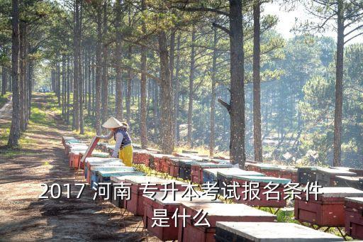 2017專升本改革河南,2017-2普通專升本招生簡(jiǎn)訊