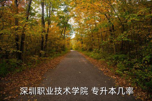  深圳職業(yè)技術(shù)學院 專升本幾率
