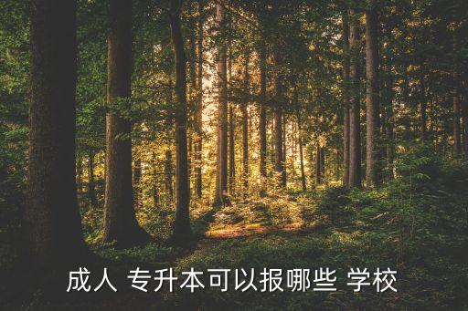 成人 專升本可以報哪些 學(xué)校