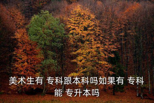 美術(shù)生有 ?？聘究茊崛绻??？颇?專升本嗎