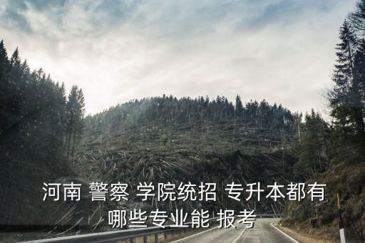  河南 警察 學(xué)院統(tǒng)招 專升本都有哪些專業(yè)能 報考