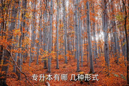 普通專升本分哪幾種,第二類是成人高等教育專升本四種方式