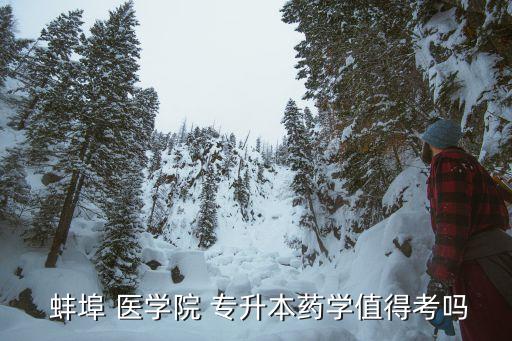  蚌埠 醫(yī)學(xué)院 專(zhuān)升本藥學(xué)值得考嗎