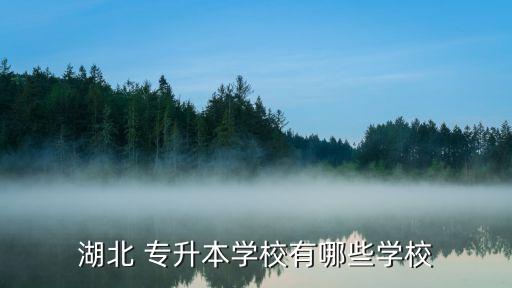 湖北 專升本學(xué)校有哪些學(xué)校