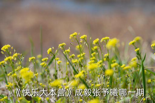 城毅2017專(zhuān)升本,我和你一樣希望被尊重