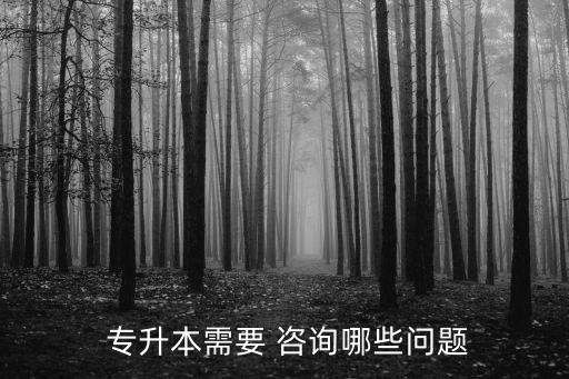  專升本需要 咨詢哪些問(wèn)題