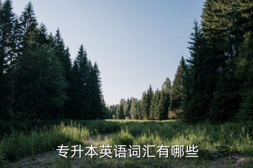 專升本形容詞練習(xí),專升本英語詞匯:特殊和獨(dú)一無二