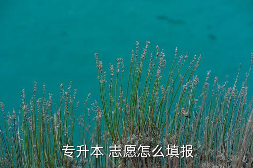  專(zhuān)升本 志愿怎么填報(bào)