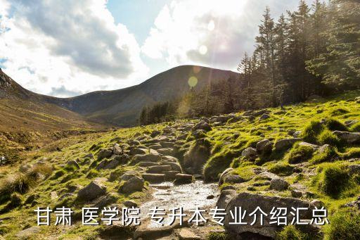  甘肅 醫(yī)學(xué)院 專升本專業(yè)介紹匯總