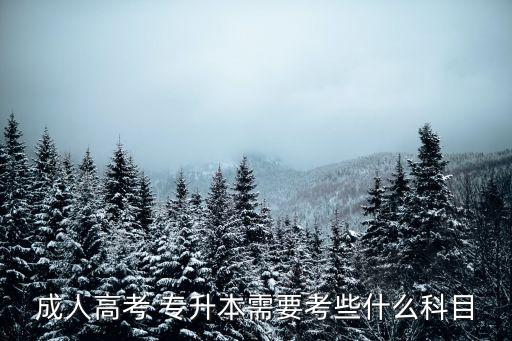 成教專升本考試,成人高考專升本:政治和外語為考科目