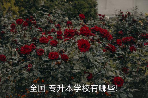 全國(guó) 專升本學(xué)校有哪些!