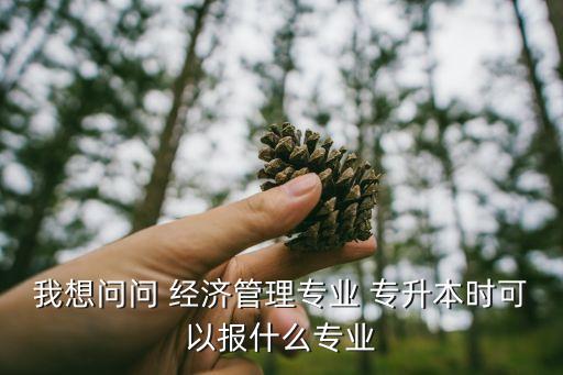 我想問問 經(jīng)濟(jì)管理專業(yè) 專升本時可以報什么專業(yè)