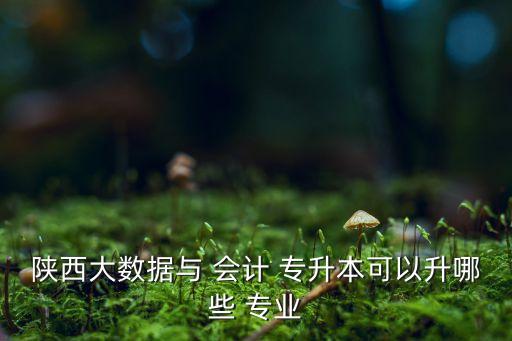 會計專升本可以報什么專業(yè)好,高等學(xué)府就業(yè)指導(dǎo)報到