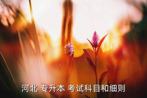 河北 專升本 考試科目和細則