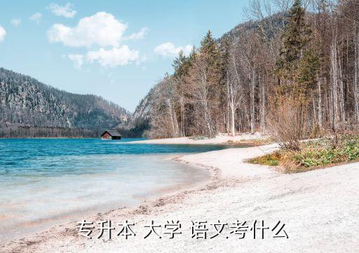 成人高考專(zhuān)升本大學(xué)語(yǔ)文,重慶專(zhuān)升本大學(xué)語(yǔ)文如何復(fù)習(xí)?