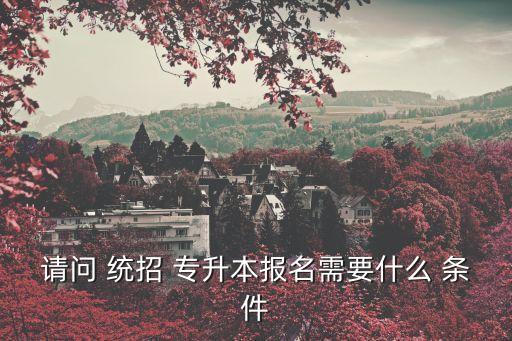 請(qǐng)問(wèn) 統(tǒng)招 專(zhuān)升本報(bào)名需要什么 條件