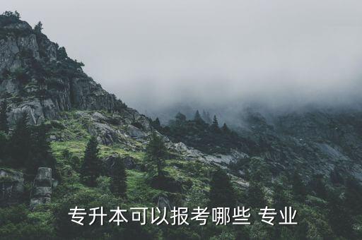 專(zhuān)升本后學(xué)什么專(zhuān)業(yè),漢語(yǔ)言文學(xué)專(zhuān)業(yè)是就業(yè)面廣專(zhuān)科專(zhuān)業(yè)