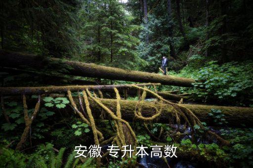 安徽 專升本高數