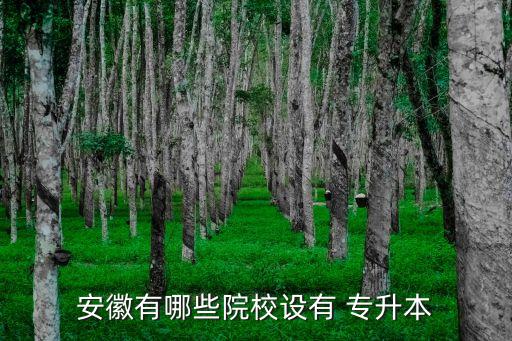 2017年皖西學院專升本,2022年河南有47所高校直升本