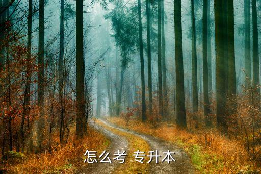專(zhuān)升本要去那考,普通高等學(xué)校專(zhuān)升本考試地點(diǎn)不固定以官網(wǎng)通知