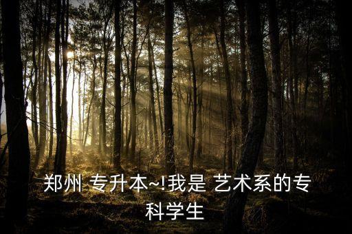  鄭州 專升本~!我是 藝術(shù)系的專科學(xué)生