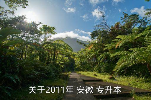關于2011年 安徽 專升本