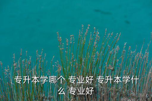  專升本學(xué)哪個(gè) 專業(yè)好 專升本學(xué)什么 專業(yè)好