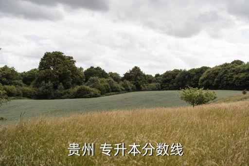 貴州專(zhuān)升本怎么算分,理工科文化成績(jī)最低控制分?jǐn)?shù)線(xiàn)公布