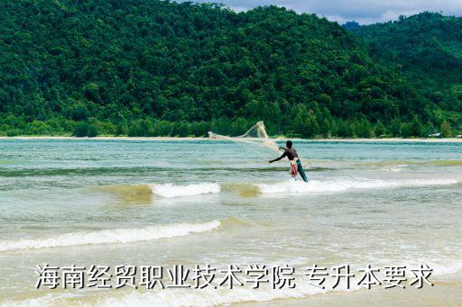 海南專升本條件,高等學府畢業(yè)生回?？色@學士學位