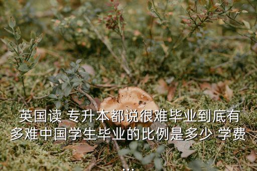  英國讀 專升本都說很難畢業(yè)到底有多難中國學生畢業(yè)的比例是多少 學費...