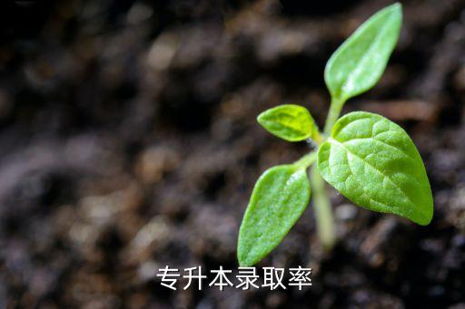 普通?？茖Ｉ韭?高等教育考生可在就讀?？仆瑫r(shí)申請(qǐng)本科