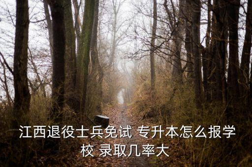  江西退役士兵免試 專升本怎么報(bào)學(xué)校 錄取幾率大