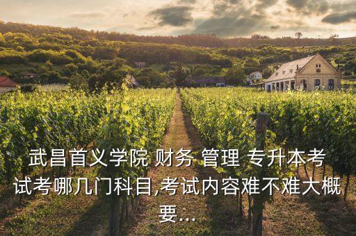 武昌首義學(xué)院 財務(wù) 管理 專升本考試考哪幾門科目,考試內(nèi)容難不難大概要...