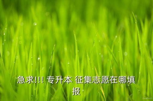 急求!!! 專升本 征集志愿在哪填報(bào)