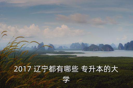 2017 遼寧都有哪些 專(zhuān)升本的大學(xué)