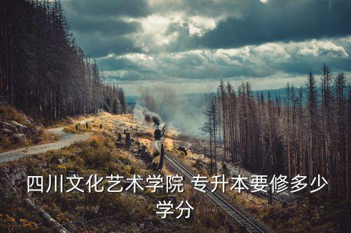  四川文化藝術學院 專升本要修多少學分