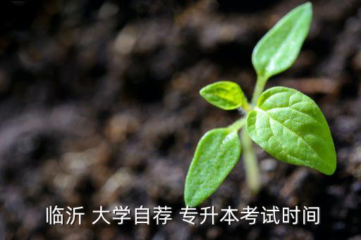 臨沂大學(xué)專升本計算機,臨沂-3/職業(yè)與技術(shù)?？粕厴I(yè)典禮