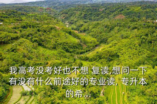 我高考沒考好也不想 復讀,想問一下有沒有什么前途好的專業(yè)讀, 專升本的希...