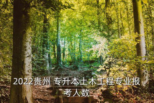 2022貴州 專升本土木工程專業(yè)報考人數(shù)