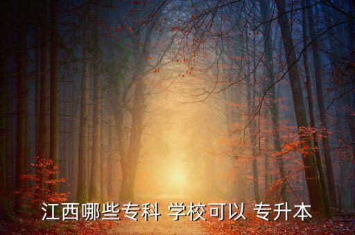 江西哪些?？?學(xué)校可以 專升本