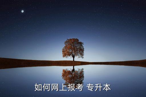 如何網(wǎng)上報(bào)考 專(zhuān)升本