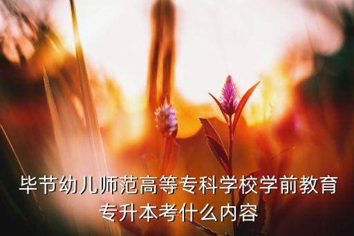  畢節(jié)幼兒師范高等?？茖W校學前教育 專升本考什么內(nèi)容