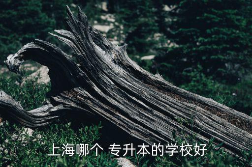 上海哪所大學(xué)專(zhuān)升本好,上海有能力升本的學(xué)校包括復(fù)旦大學(xué)