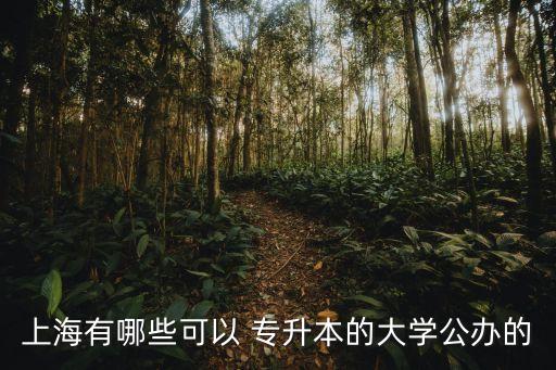 上海有哪些可以 專升本的大學(xué)公辦的
