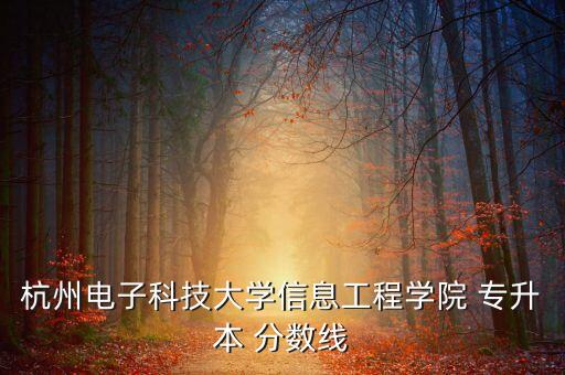杭州電子科技大學(xué)信息工程學(xué)院 專升本 分?jǐn)?shù)線