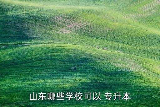 山東哪些學?？梢?專升本