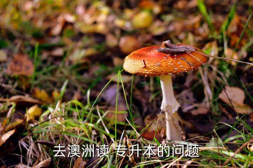 澳大利亞專升本價錢,澳洲留學生如何申請兩年制本科和碩士?
