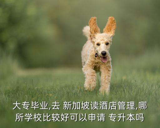大專畢業(yè),去 新加坡讀酒店管理,哪所學(xué)校比較好可以申請(qǐng) 專升本嗎